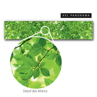 waldgefluester-580x120