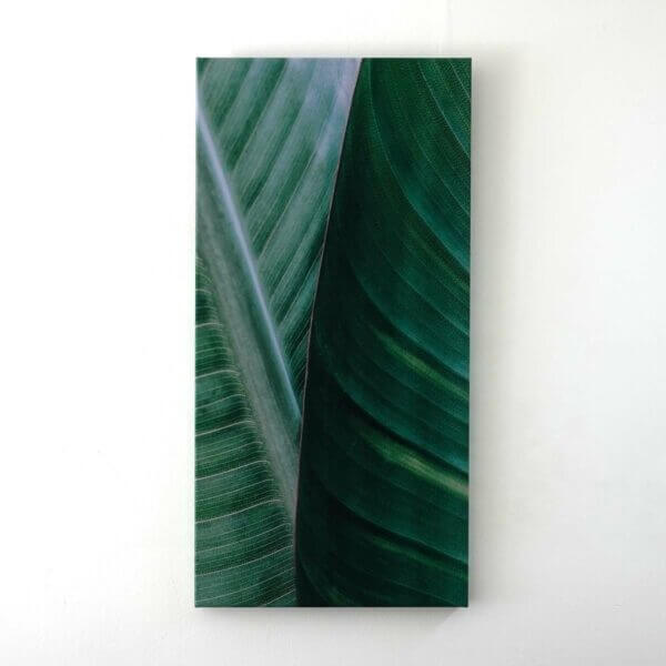 Akustikbild Tropical Leaves