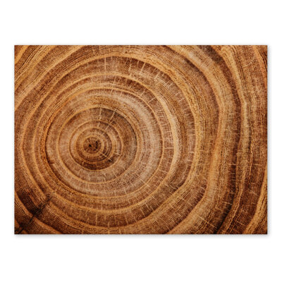 Akustikbild Wood 3