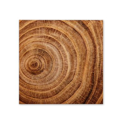 Akustikbild Wood 3