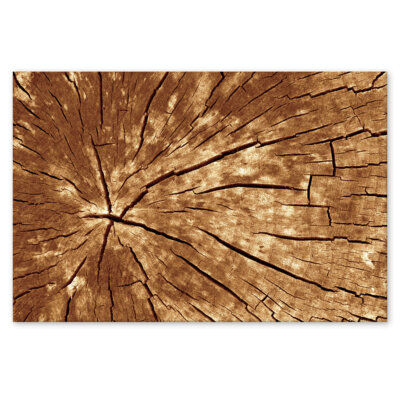 Akustikbild Wood 2