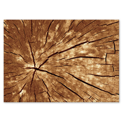 Akustikbild Wood 2