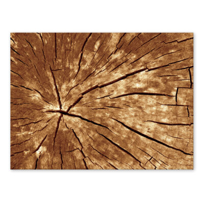 Akustikbild Wood 2