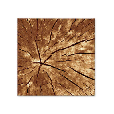 Akustikbild Wood 2