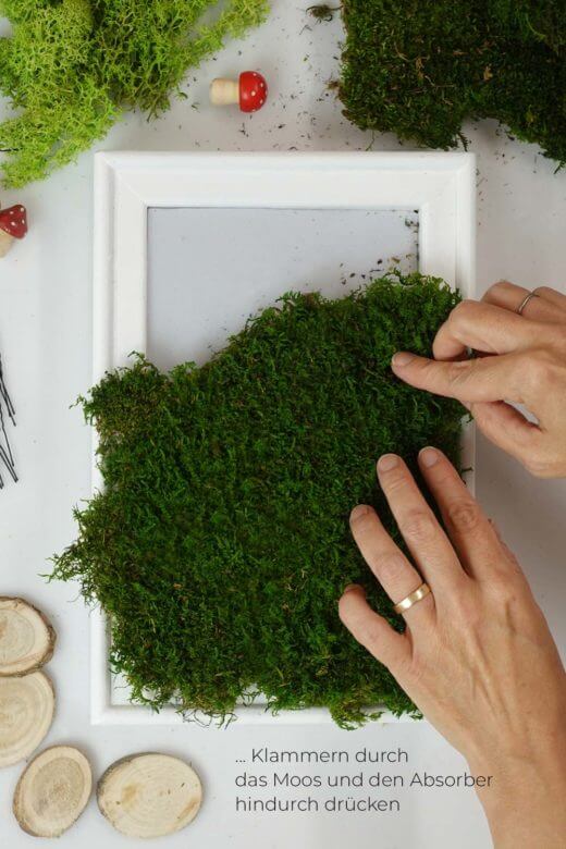 Moosbild DIY Schritt 3
