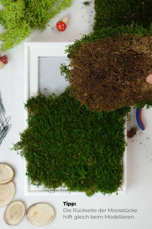 Moosbild DIY Tipp