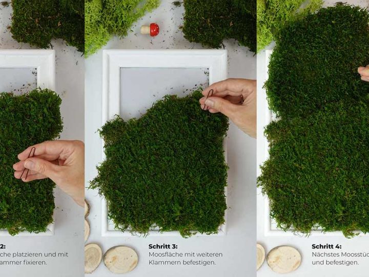 Moosbilder liegen voll im Trend. So stellen Sie ein DIY Moosbild in 7 einfachen Schritten her UND verbessern Ihre Raumakustik.