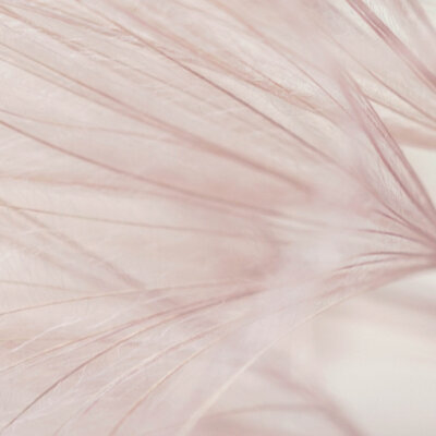 Textil Dandelion Dreamer, 100x80 cm, SensationSeide