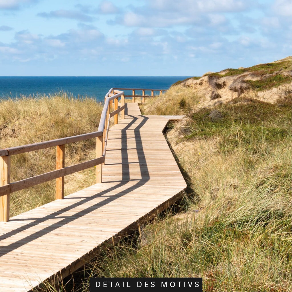Detailansicht des Motivs Steg in den Dünen