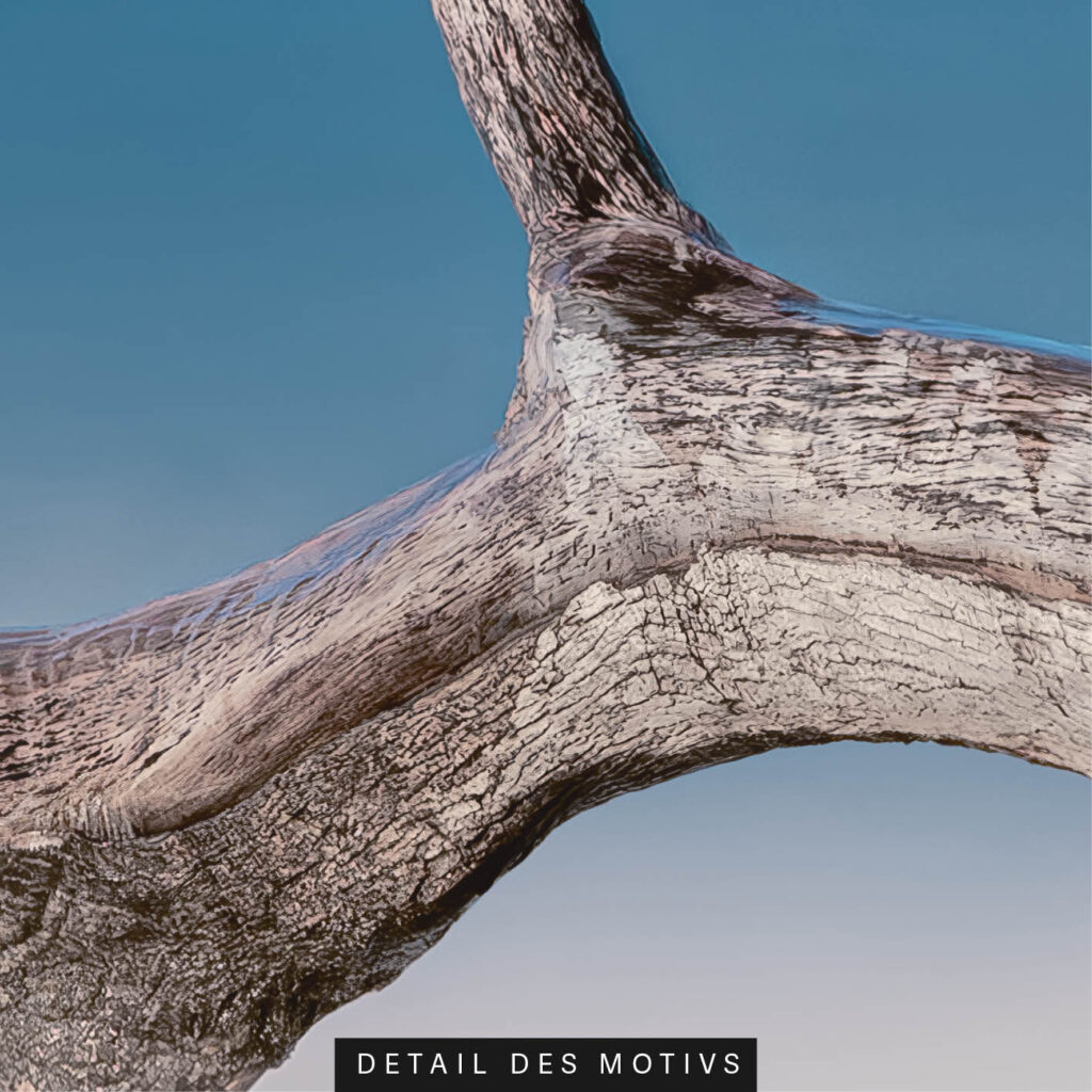 Akustikbild Treibgut im Nebel (auch Panorama bis 400 cm)