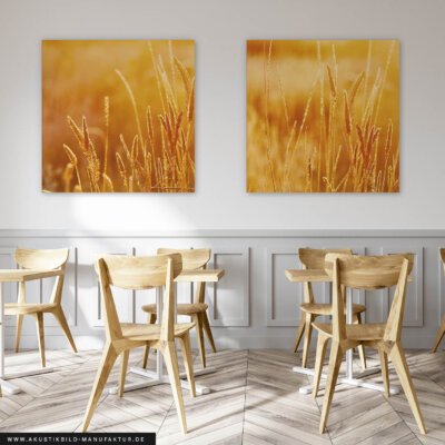 Akustikbild Kornfeld 1