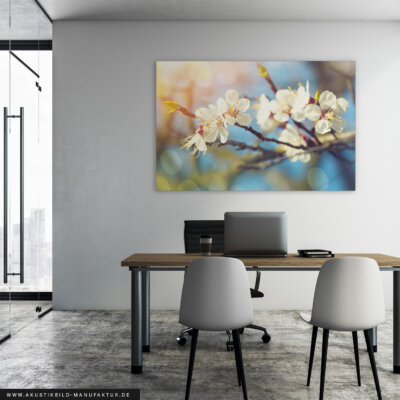 Akustikbild Kirschblüte