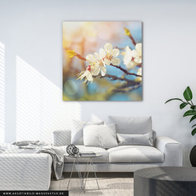 Akustikbild Kirschblüte