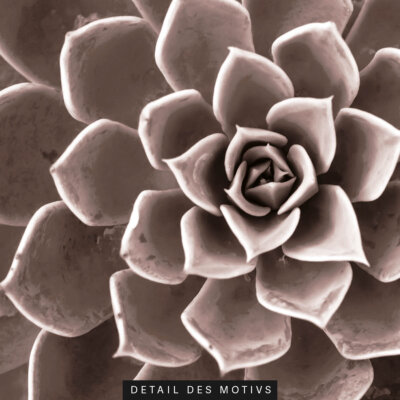 Akustikbild Agave III