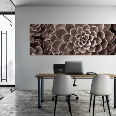 Akustikbild Agave III