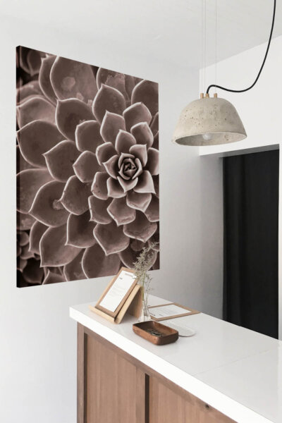 Akustikbild Agave III