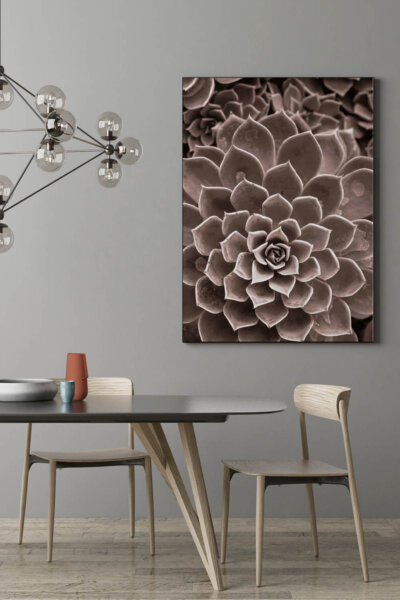 Akustikbild Agave III