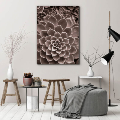 Akustikbild Agave III