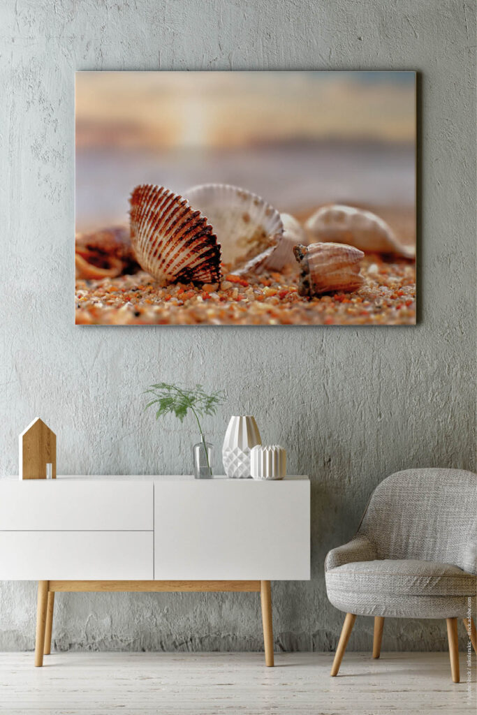 Akustikbild Muschel am Strand