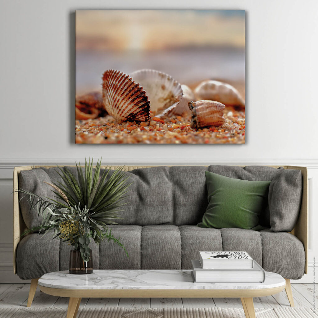 Akustikbild Muschel am Strand