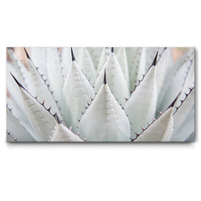 Akustikbild Agave II