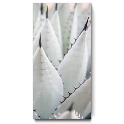 Akustikbild Agave II
