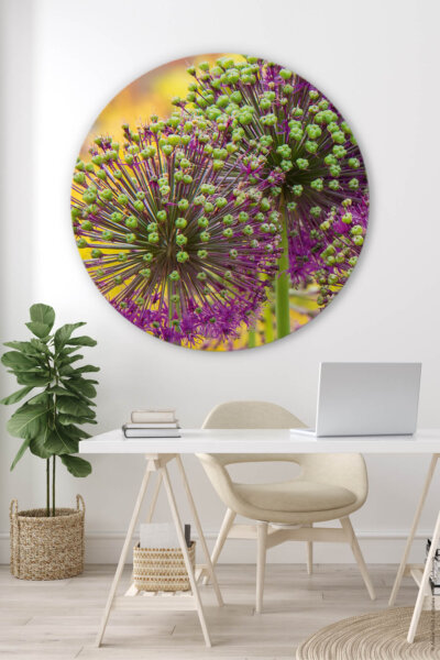 Rundes Akustikbild Allium I