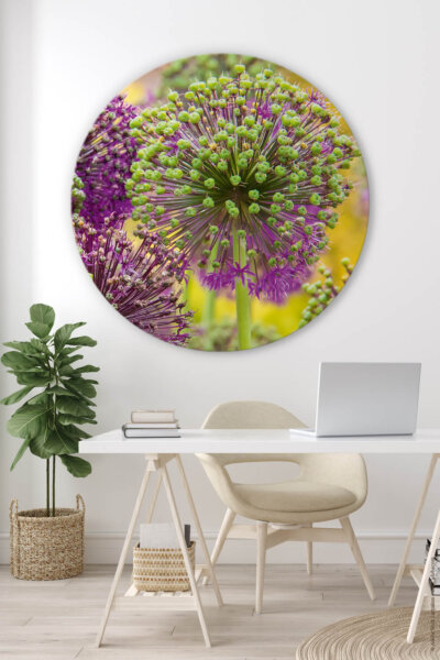 Rundes Akustikbild Allium II