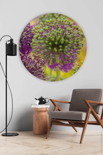 Rundes Akustikbild Allium II