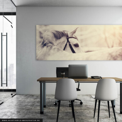 Akustikbild White Horse in Summer