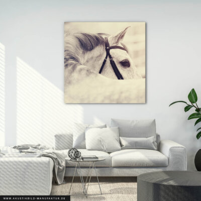 Akustikbild White Horse in Summer