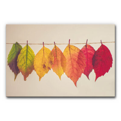 Akustikbild Rainbow Leaves