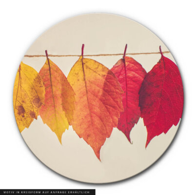 Akustikbild Rainbow Leaves