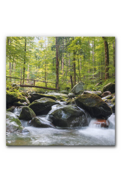 Akustikbild Wasser mit Brücke