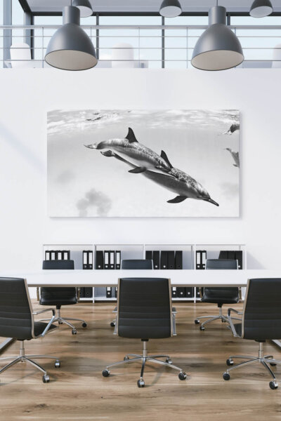 Akustikbild Delfine