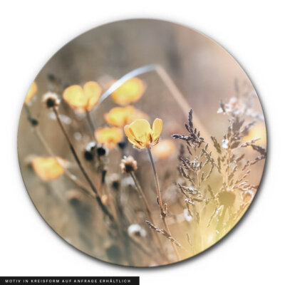 Akustikbild Sommerwiese