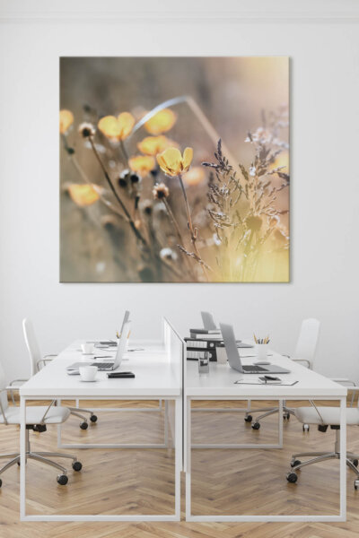 Akustikbild Sommerwiese