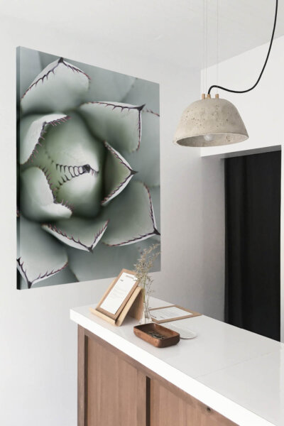 Akustikbild Agave I