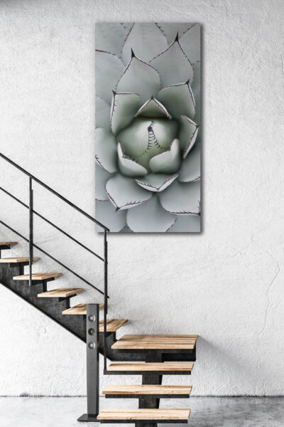 Akustikbild Agave I