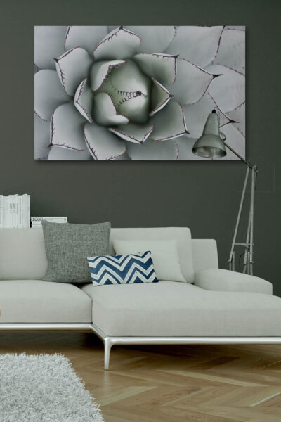 Akustikbild Agave I