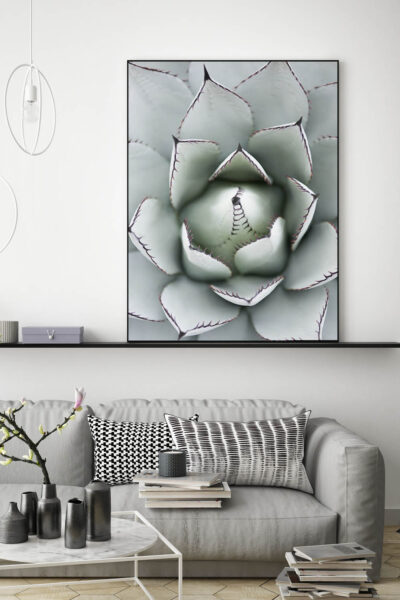 Akustikbild Agave – Bild 3