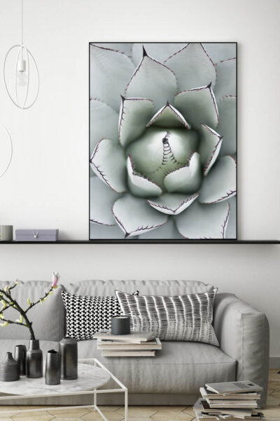 Akustikbild Agave I