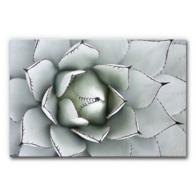 Akustikbild Agave I