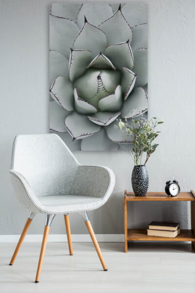 Akustikbild Agave I