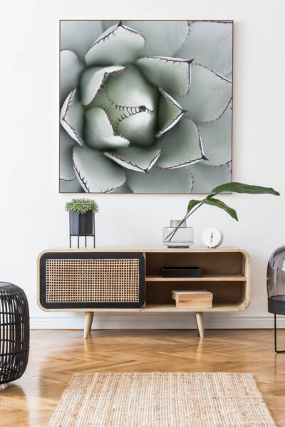 Akustikbild Agave I