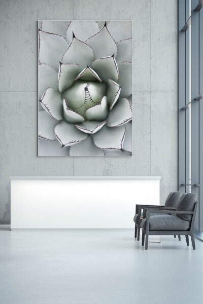 Akustikbild Agave I