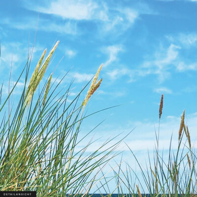 Akustikbild Düne 2 – Bild 2
