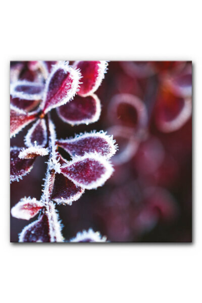 Akustikbild Winterzweig II