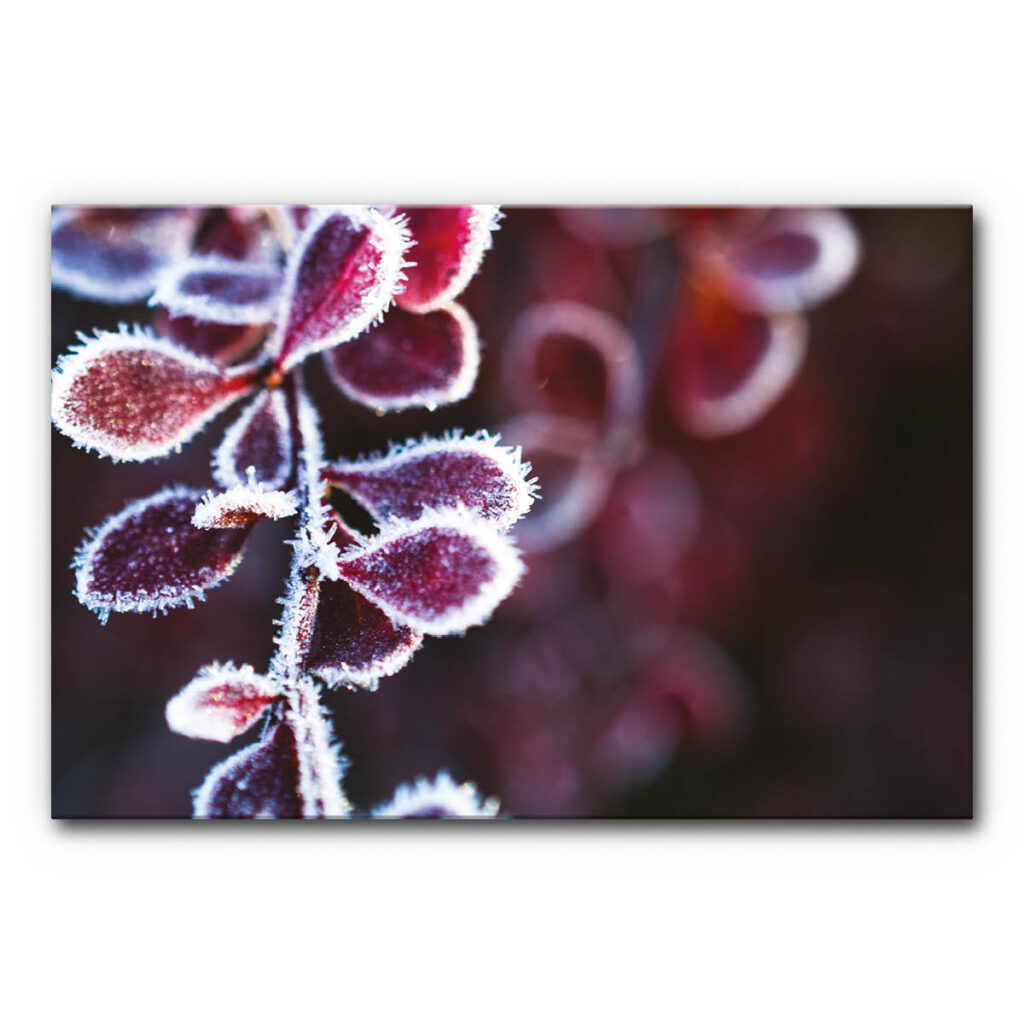 Akustikbild Winterzweig II