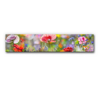 Akustikbild Panorama Mohnblüten (auch als Panorama bis 400 cm)